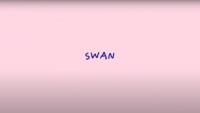 SUNDAY HARDWARE – SWAN | VIDEO
