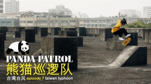 PANDA PATROL: TAIWAN TYPHOON | VIDEO