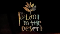 MAGENTA – PLANT IN THE DESERT | VIDEO