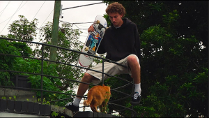 SPRING CHICKENS – BOARDWORLD | VIDEO