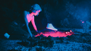VANS – THE LIZZIE: THE FIRST SIGNATURE SKATE SHOE FROM LIZZIE ARMANTO