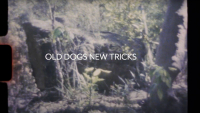 OLD DOGS NEW TRICKS | VIDEO